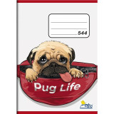 Zošit č. 544 - A5, 40 listov, linajkový